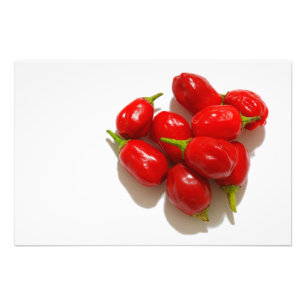 Röda paprika fototryck
