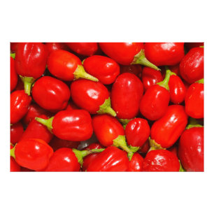 Röda paprika fototryck