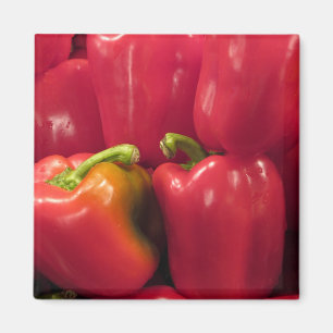 Röda peppar… magnet