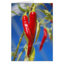 Röda pepparkort