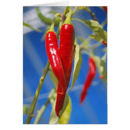 Röda pepparkort hälsningskort