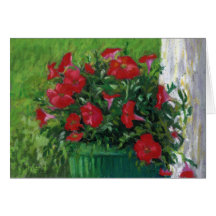 "Röda Petunias ",