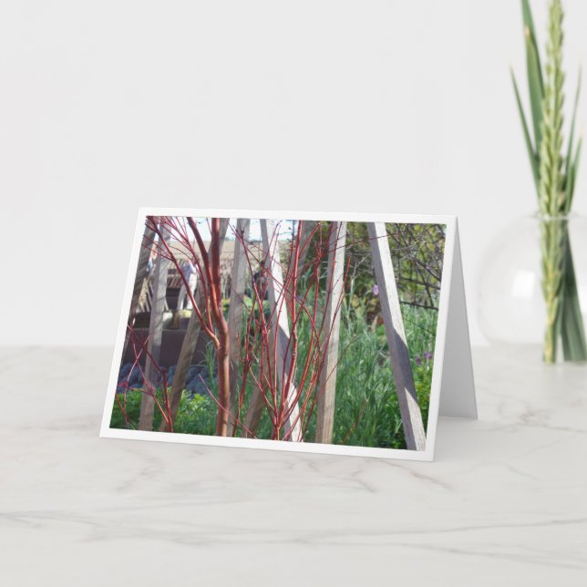 Röda pinnar & vitinsatser kort (Framsida)