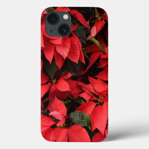 Röda Poinsettia II Jul Högtidlig Blomma