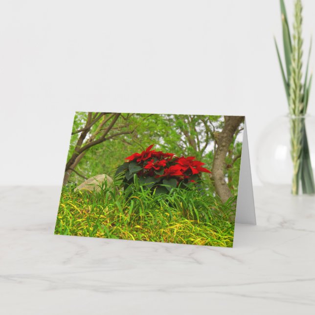 Röda Poinsettia - Personlig Helgkort (Framsida)
