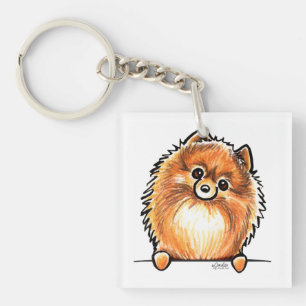 Röda Pomeranian tafsar upp