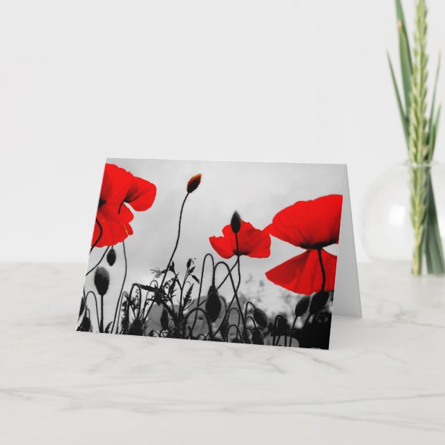 Röda poppies-gratulationskort kort (Framsida)