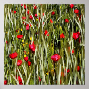 Röda poppies i en hjulfältsfärg poster