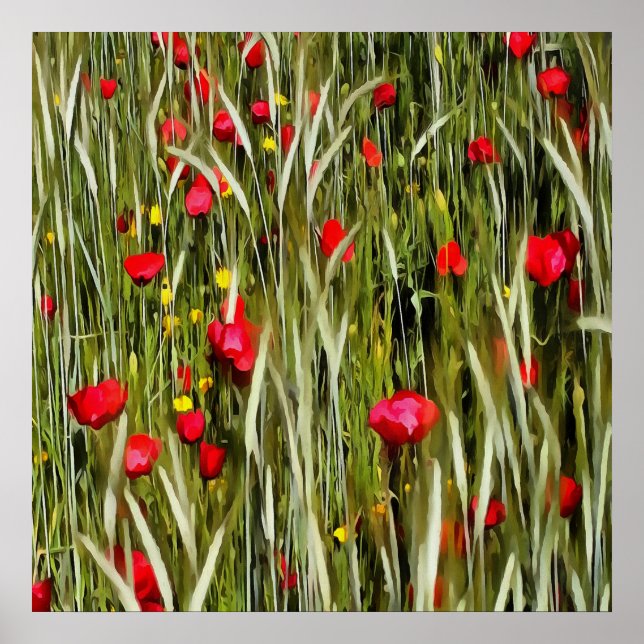 Röda poppies i en hjulfältsfärg poster (Framsidan)