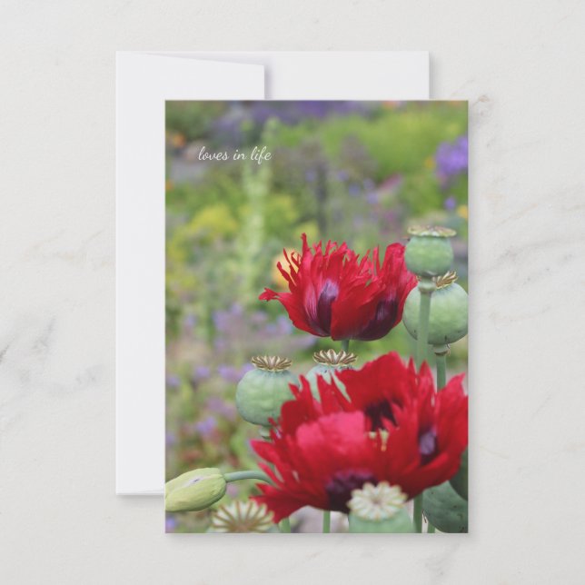 Röda poppies i Garden Anteckningskort (Framsida)