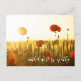 Röda poppies öppna Fält med djup sympati Vykort