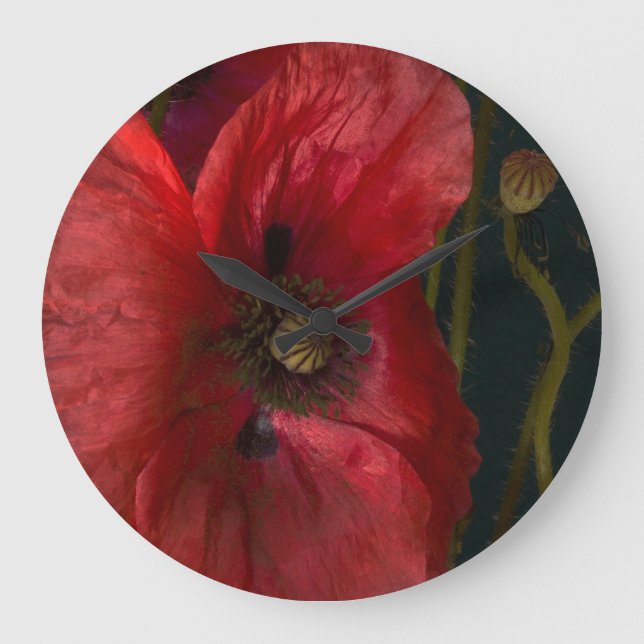 Röda poppies på svart stor klocka (Framsida)