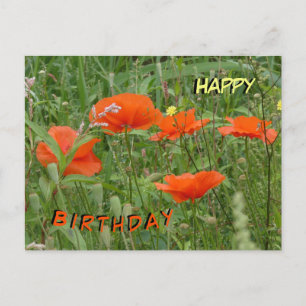 Röda poppies Vild Flowers Grattis på födelsedagen  Helg Vykort