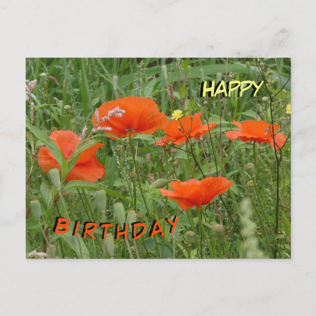 Röda poppies Vild Flowers Grattis på födelsedagen  Helg Vykort (Framsida)