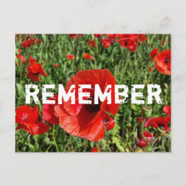 Röda poppies-vykort vykort