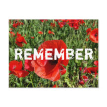 Röda poppies-vykort