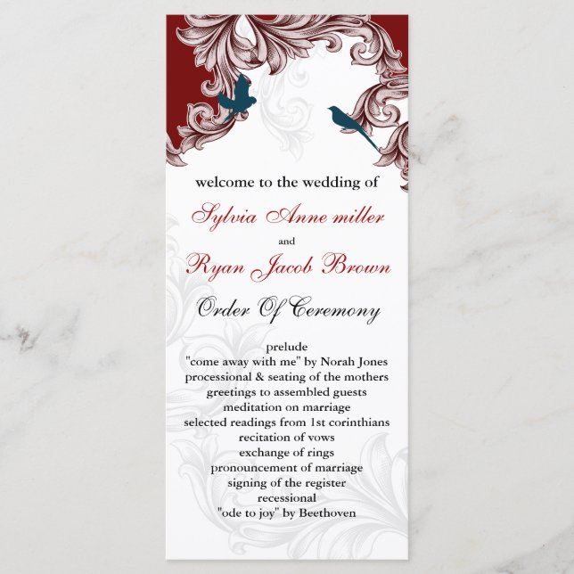 röda program för blåa fåglar (Framsida)