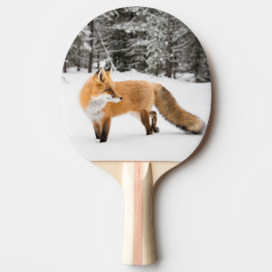 Röda rävar i vita Snö Pingisracket