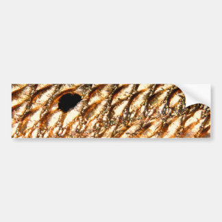 "Röda Redfish" - trumma vid PatternWear© Bildekal