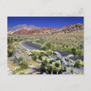 Röda Rock Canyon National Conservation Area, Las Vykort