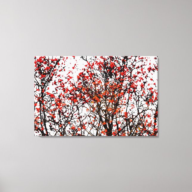 Röda röntgenfrukter eller askbär canvastryck (Framsida)