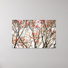 Röda röntgenfrukter eller askbär canvastryck