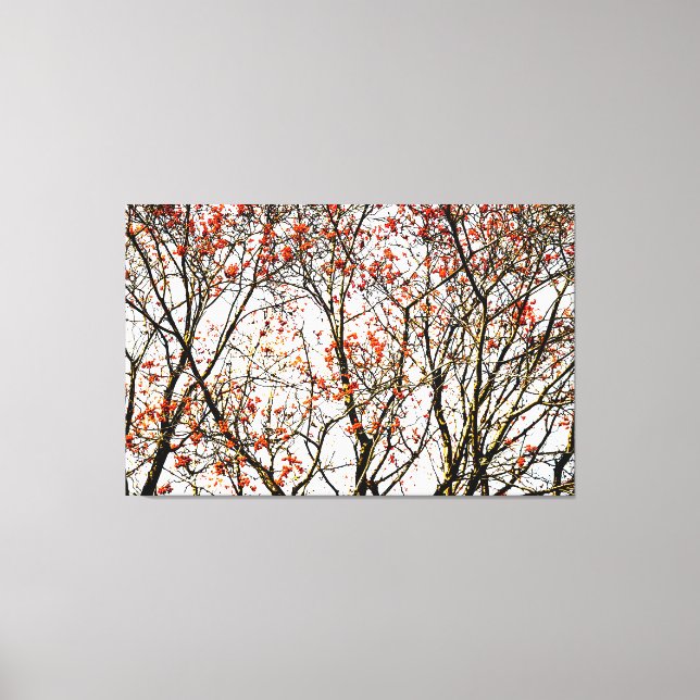 Röda röntgenfrukter eller askbär canvastryck (Framsida)