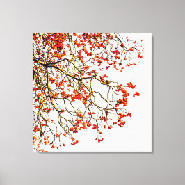 Röda röntgenfrukter eller askbär canvastryck