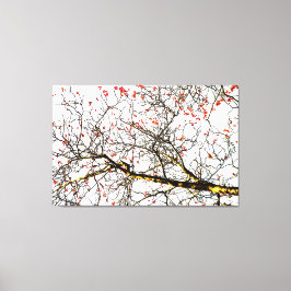 Röda röntgenfrukter eller askbär canvastryck