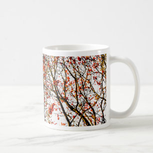 Röda röntgenfrukter eller askbär kaffemugg