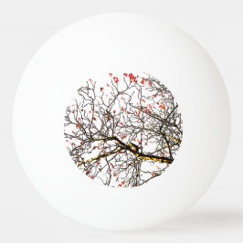 Röda röntgenfrukter eller askbär pingisboll