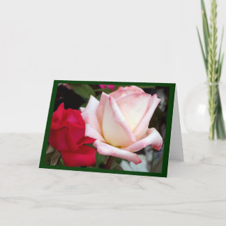 Röda Rosa ros-anteckningskort Kort