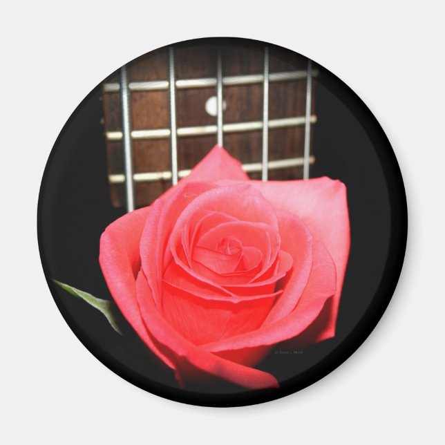 Röda rosa ros mot fem rasterbräda magnet (Framsidan)