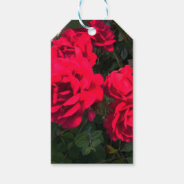 Röda rosor blommar presentetikett