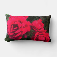 Röda Rosor Blommor 