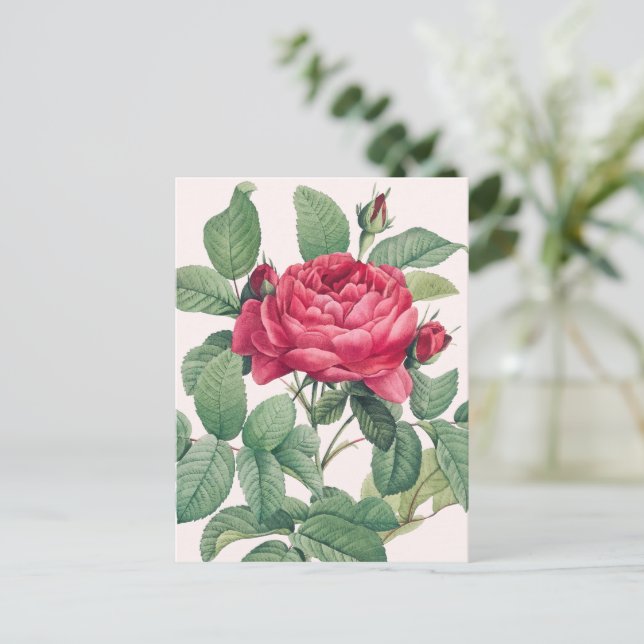 Röda rosor med gröna blad TACK Vykort (Stående Fram)