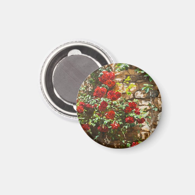 Röda rosor mot en stenvägg magnet (Front/Back)