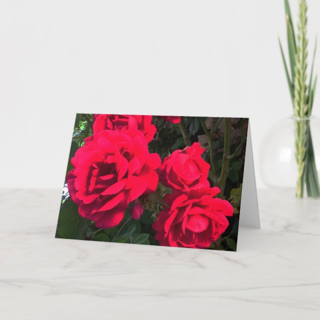 Röda Rosor Rosarium  Helgkort (Framsida)