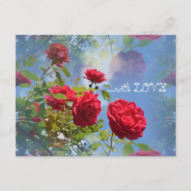 Röda rosor till dig ... vykort (Framsida)