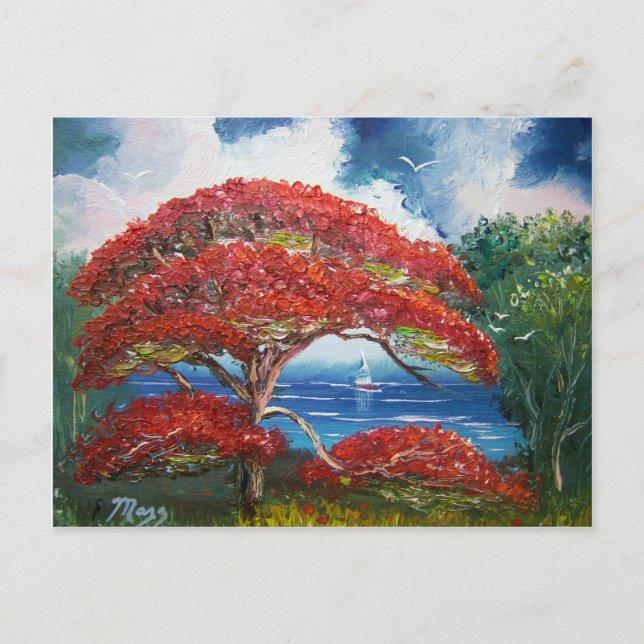 Röda Royalet Poinciana Träd och segelbåt Vykort (Framsida)