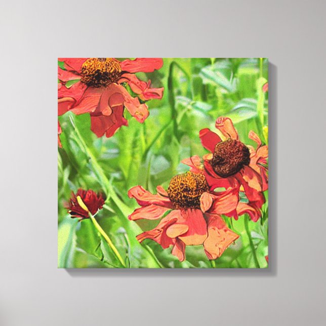 RÖDA RUDBECKIA BLOMMOR CANVASTRYCK (Framsida)