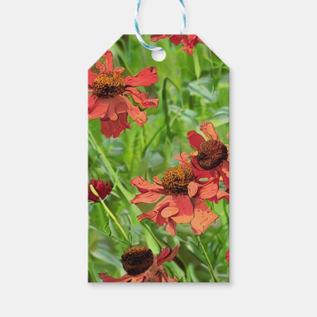 RÖDA RUDBECKIA BLOMMOR PRESENTETIKETT (Framsidan)