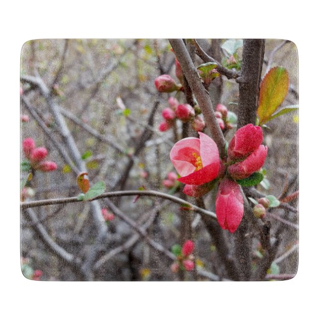 röda små blommor (Framsidan)