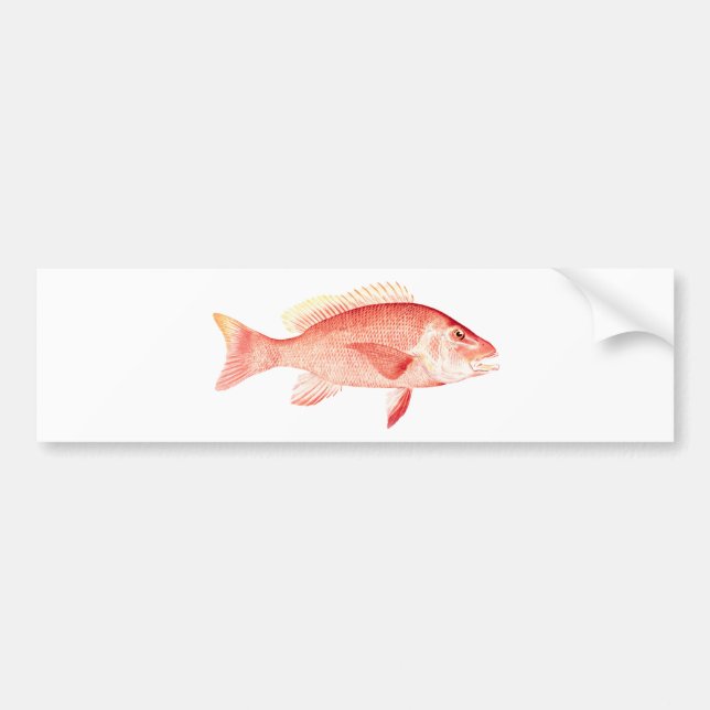 Röda Snapper Bildekal (Framsidan)