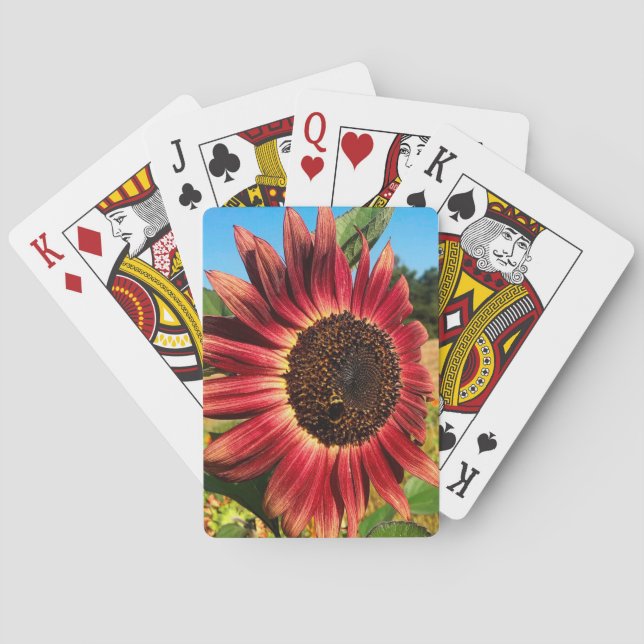 Röda solrosor med Bee Casinokort (Baksidan)