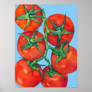 Röda tomatblått Poster