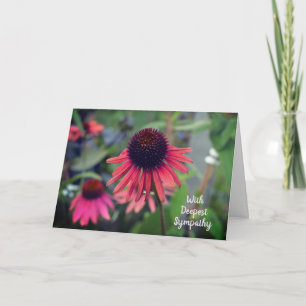 Röda tonblommor Echinacea med sympati Kort