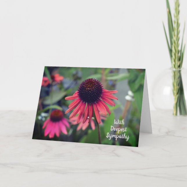 Röda tonblommor Echinacea med sympati Kort (Framsida)