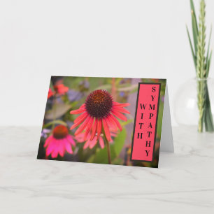 Röda tonblommor Echinacea med sympati Kort