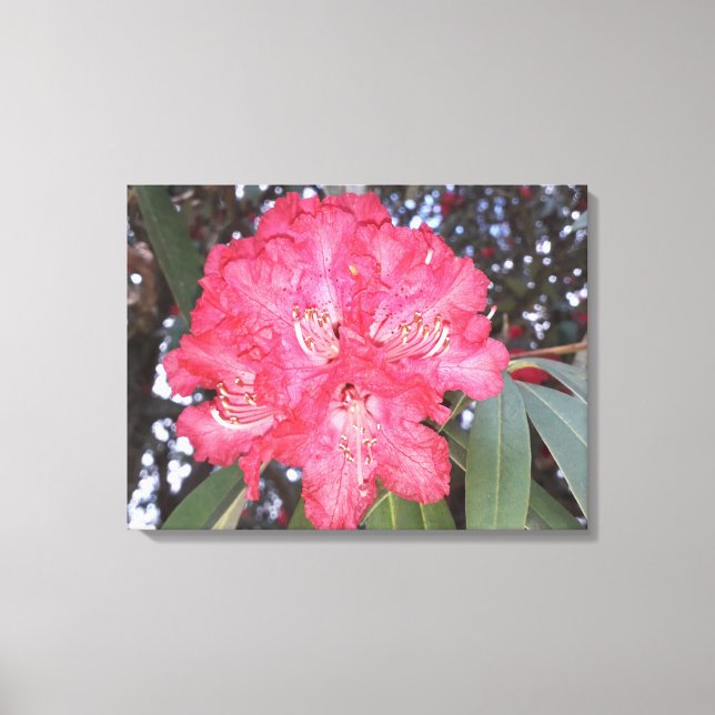 Röda träd-blommor canvastryck (Framsida)